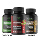 Kit 3 Suplementos Naturais - Ginseng Indiano 360 Cápsulas 500mg cada