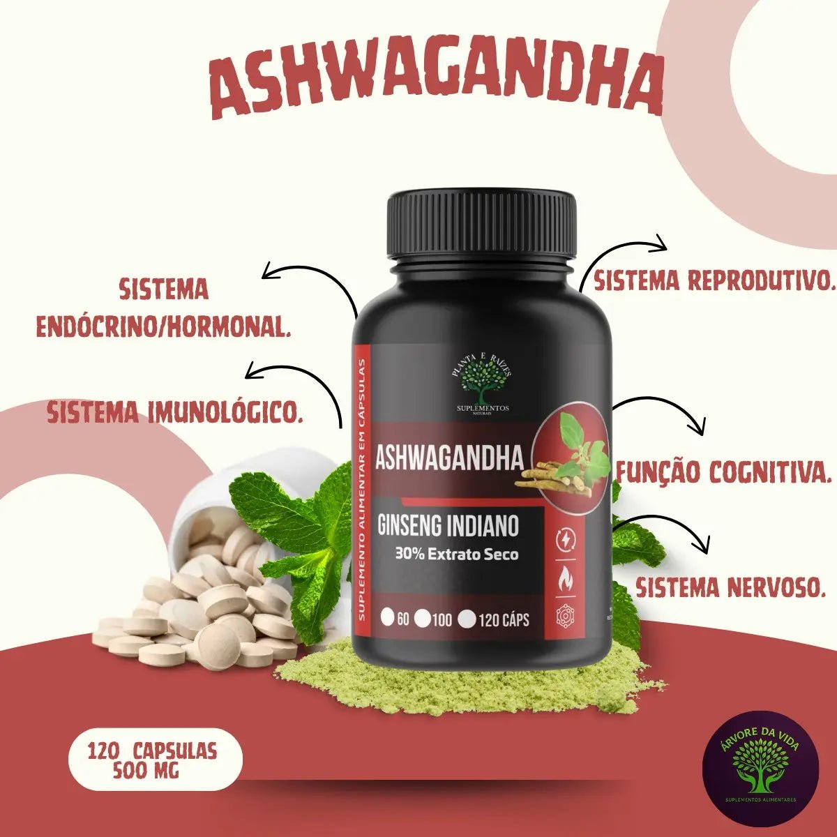 Kit Moringa + Ashwagandha Natural - 240 Cápsulas 500mg - Suplemento Natural - Imagem 3